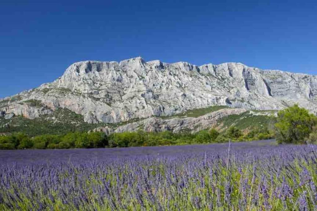 Appartement Avec Deux Chambres Centre Ville Aixois Aix-en-Provence Ngoại thất bức ảnh